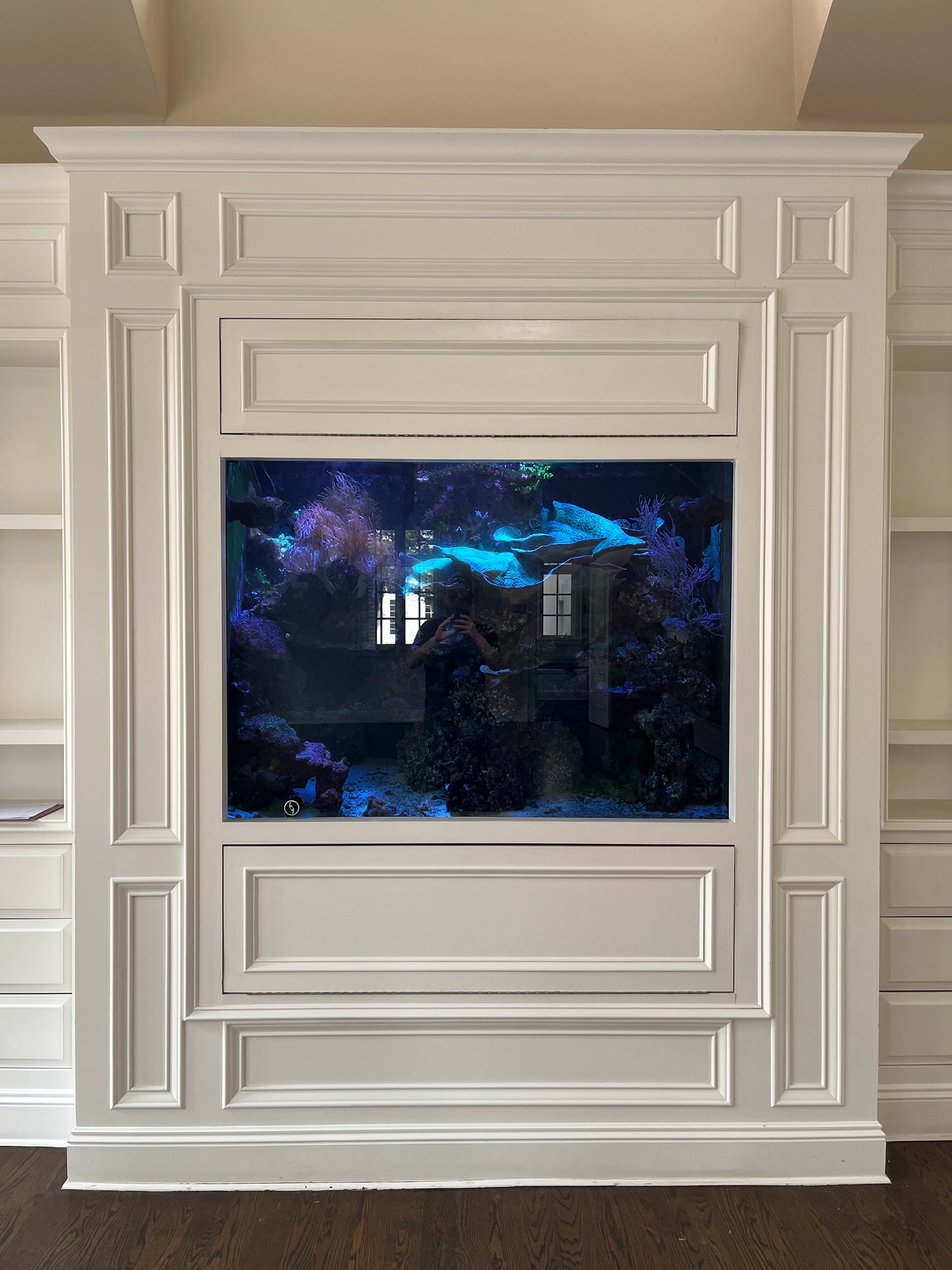 Large Saltwater Reef Aquarium Setup ($1200 OBO)