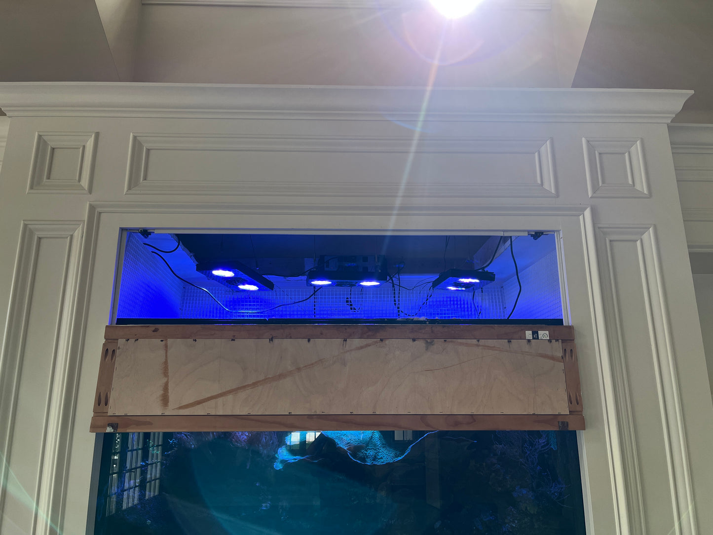 Large Saltwater Reef Aquarium Setup ($1200 OBO)
