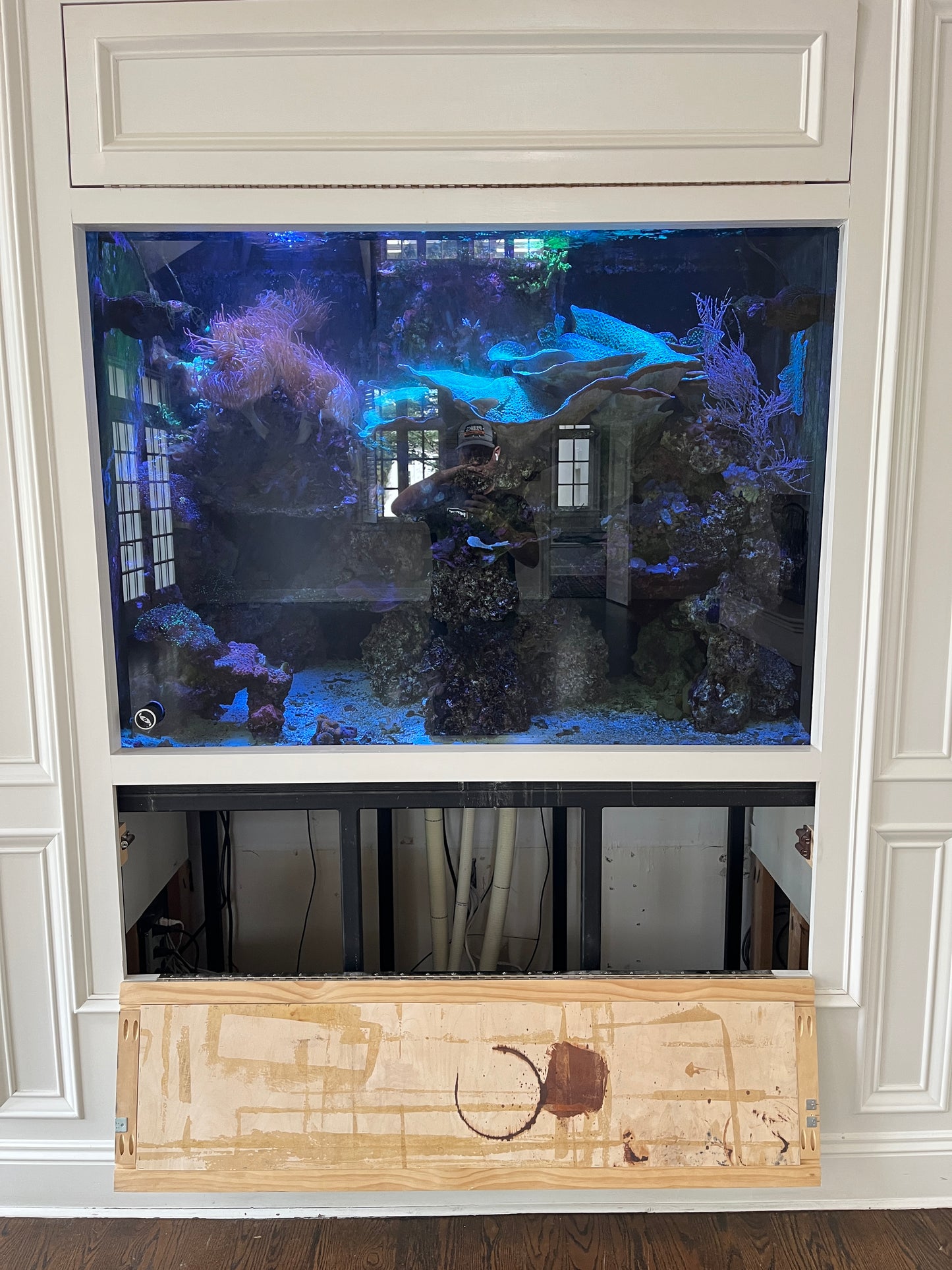 Large Saltwater Reef Aquarium Setup ($1200 OBO)