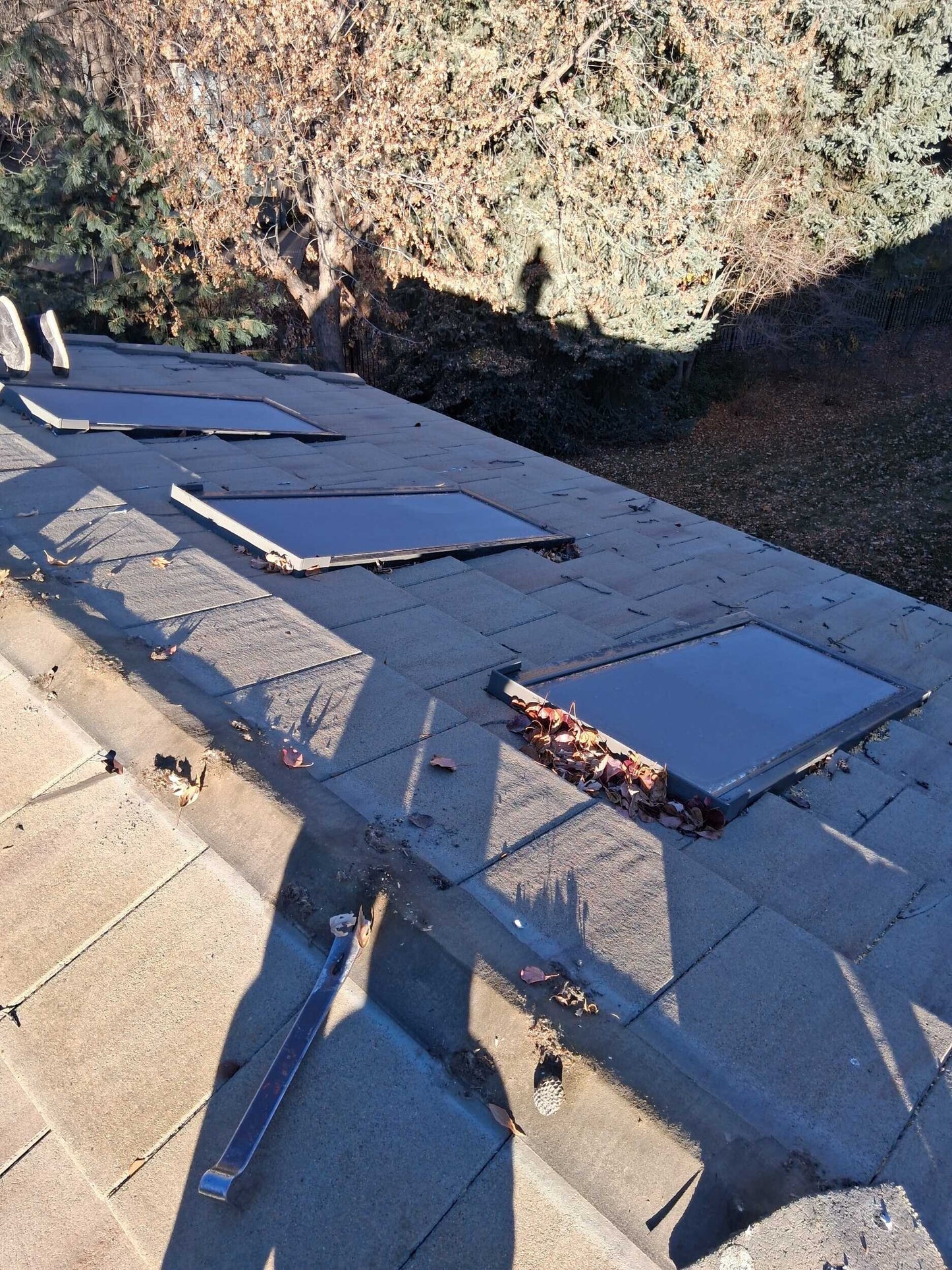 #1210.02 Fixed Picture Window | Double Pane | 47" x 21 3/4"