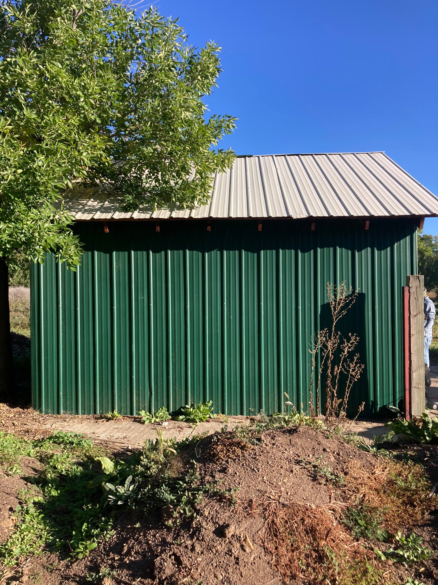 Salvaged Metal Shed Panels – Approx. 360 sq ft [1002.80]