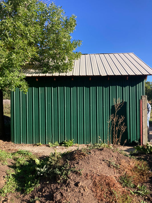Salvaged Metal Shed Panels – Approx. 360 sq ft [1002.80]