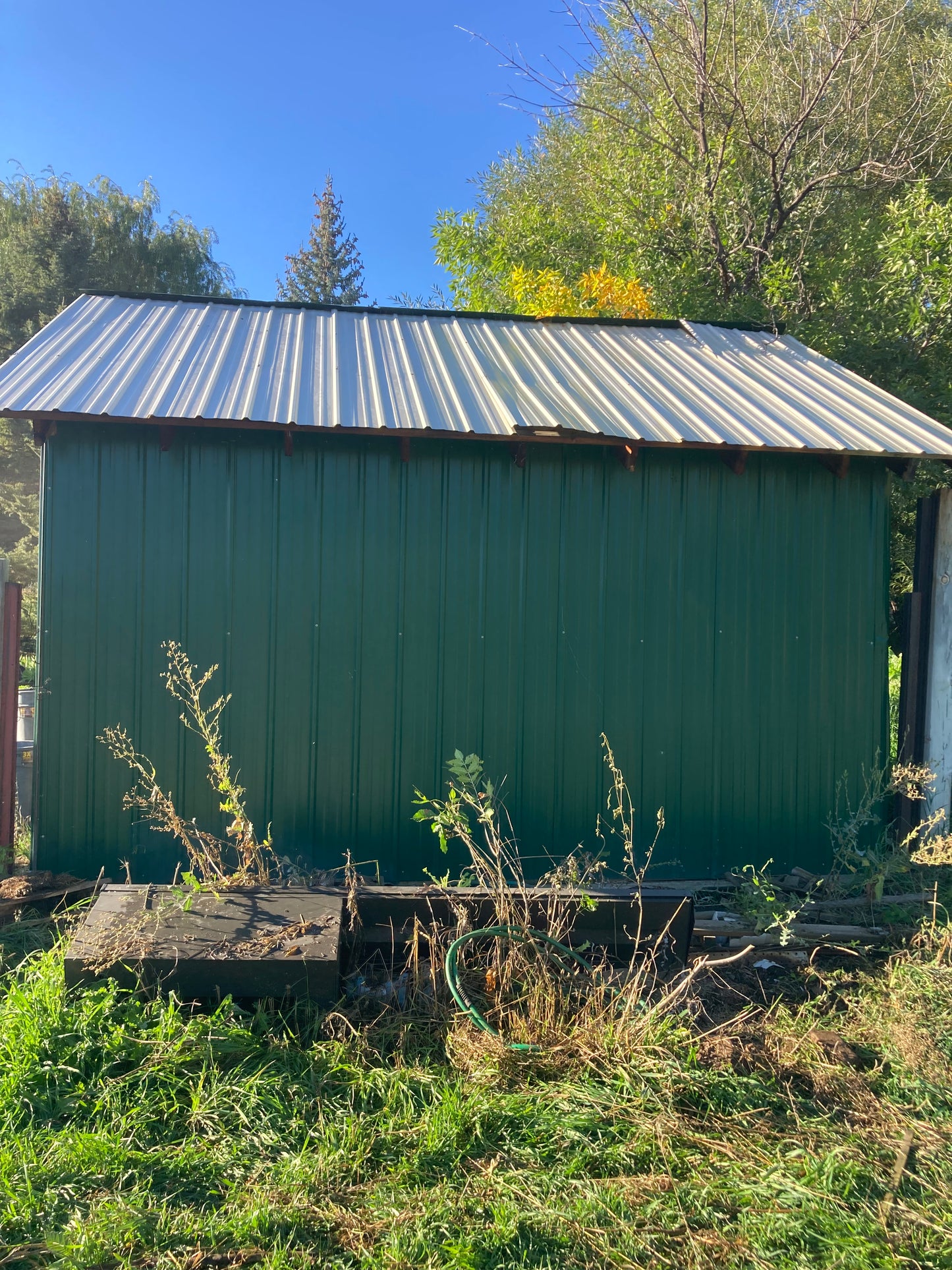 Salvaged Metal Shed Panels – Approx. 360 sq ft [1002.80]