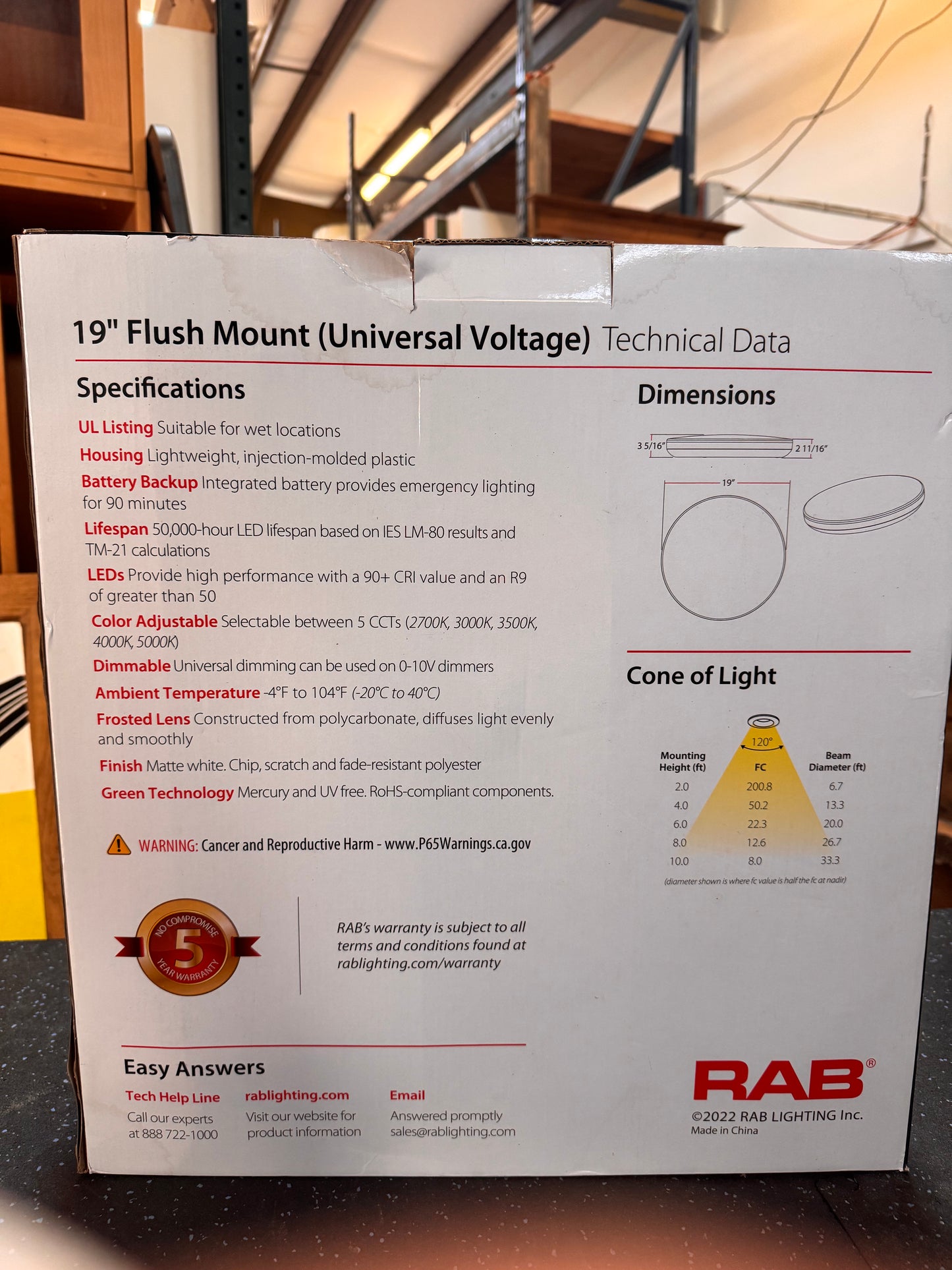 19in LED Flush Mount Ceiling Light, 5 Color Options