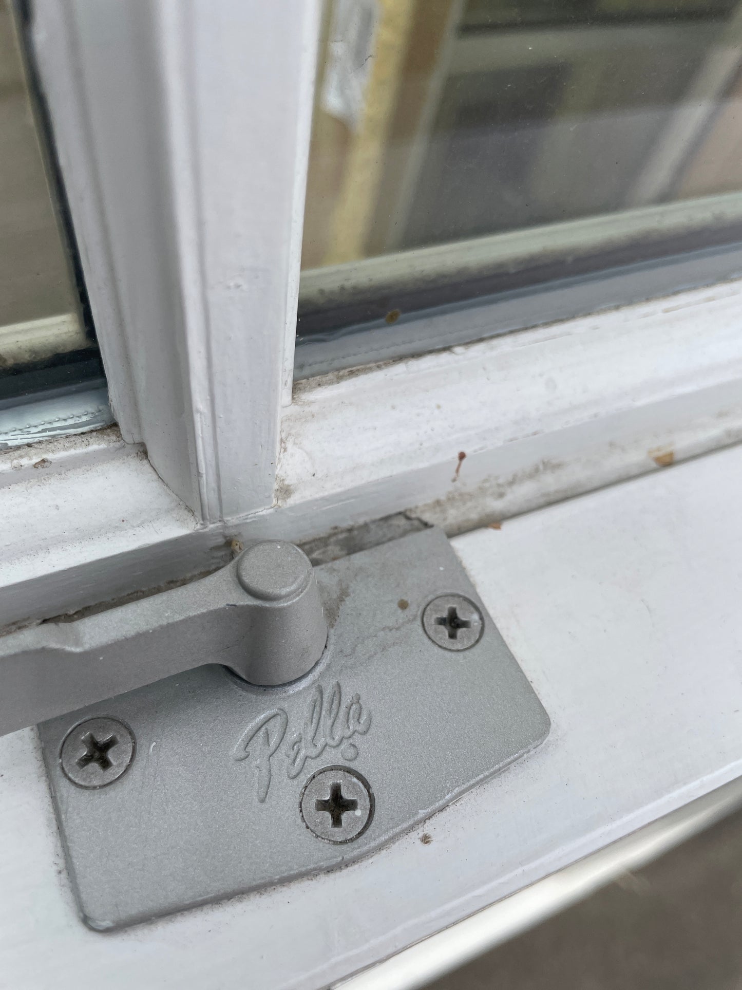 58x64 Single Hung Wood Window, White [#J401.07]