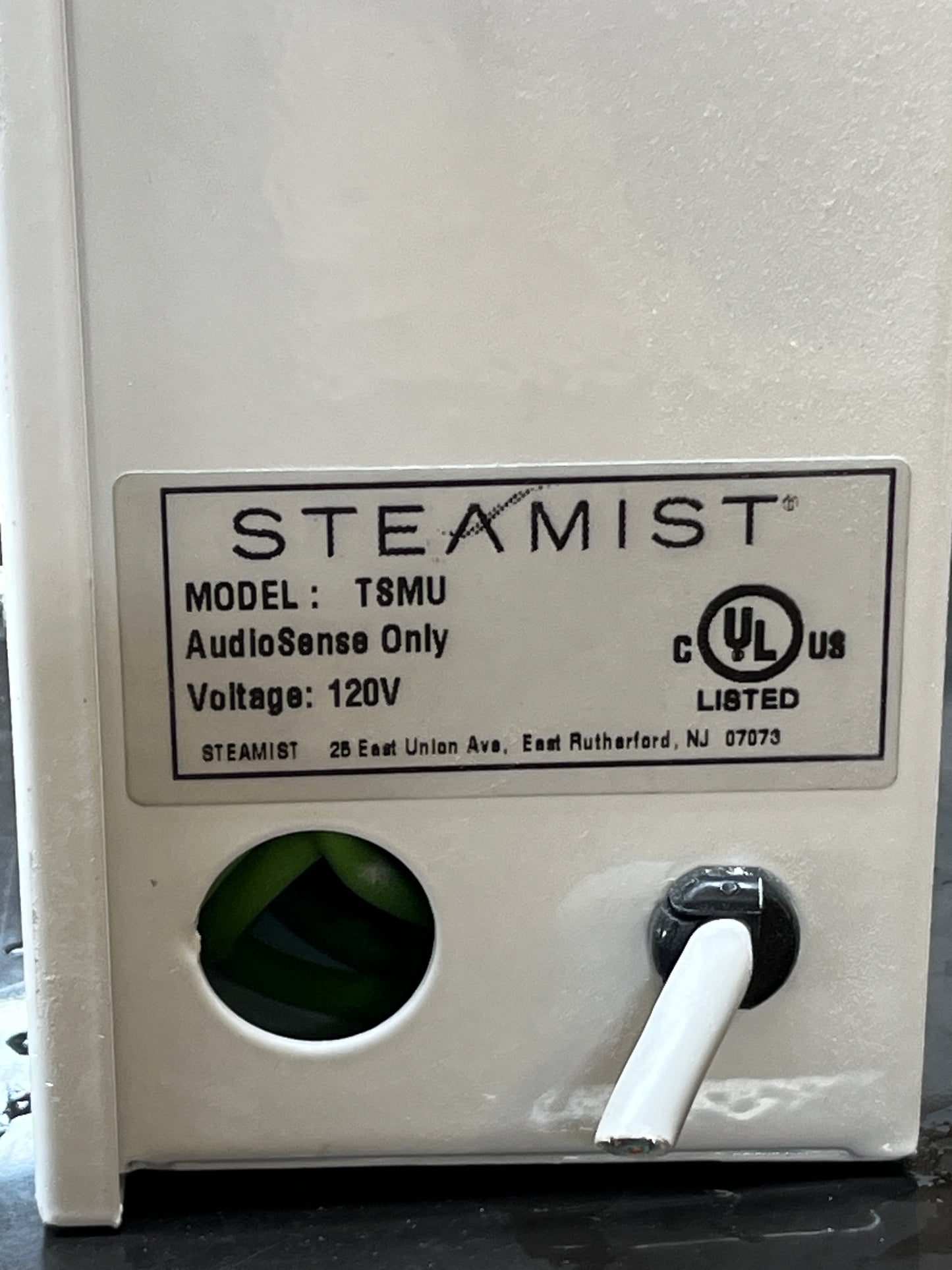 Steamist AudioSense Module TSMU 120V [830.04]