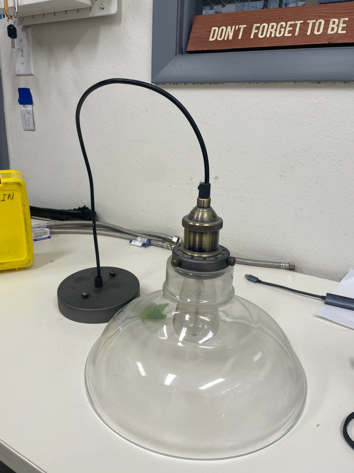 Reclaimed Pendant Light, Clear Glass Dome, Brass Socket